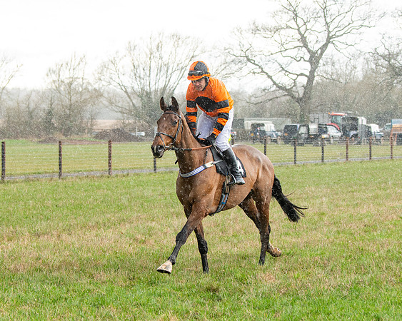 Race 5 - Restricted  (12 of 141)