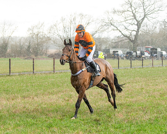 Race 5 - Restricted  (13 of 141)