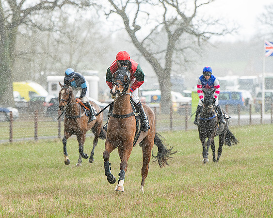 Race 5 - Restricted  (16 of 141)