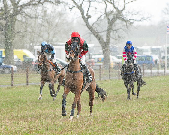 Race 5 - Restricted  (17 of 141)