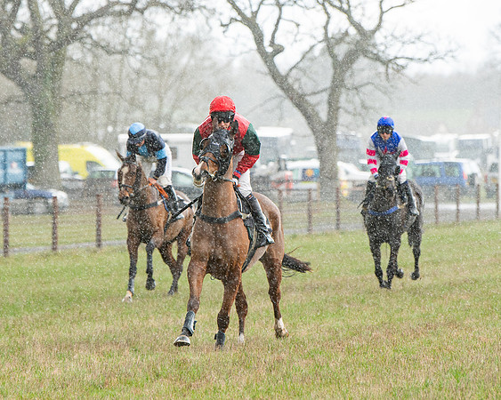 Race 5 - Restricted  (18 of 141)