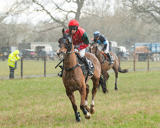 Race 5 - Restricted  (19 of 141)