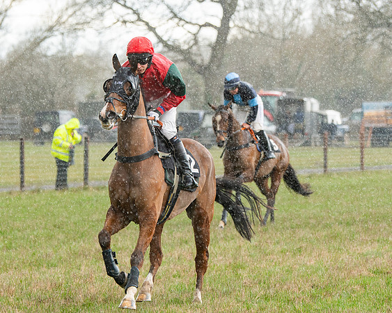 Race 5 - Restricted  (21 of 141)