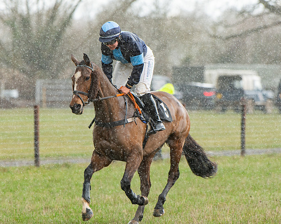 Race 5 - Restricted  (22 of 141)