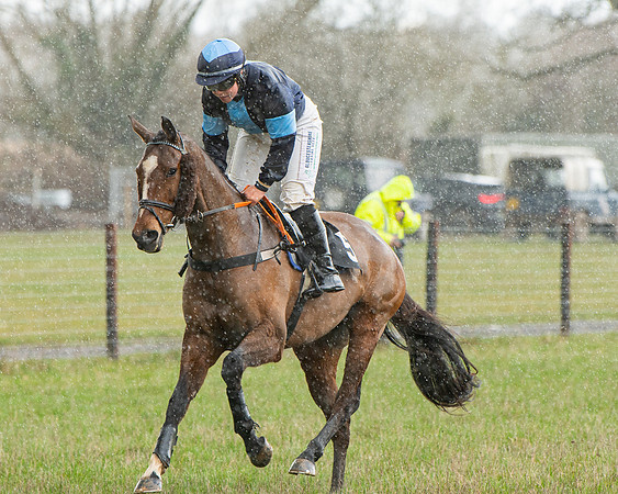Race 5 - Restricted  (23 of 141)