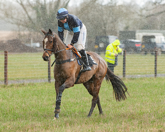 Race 5 - Restricted  (24 of 141)
