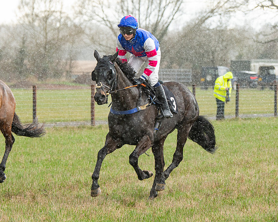 Race 5 - Restricted  (25 of 141)