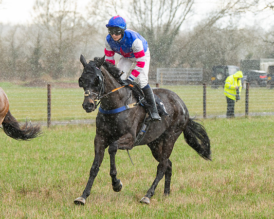 Race 5 - Restricted  (26 of 141)