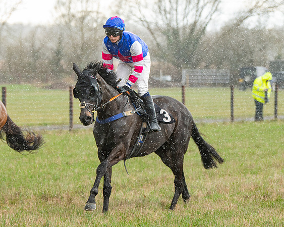 Race 5 - Restricted  (27 of 141)