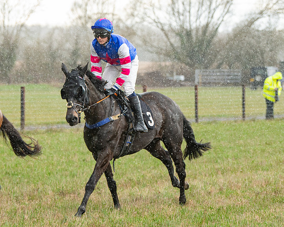 Race 5 - Restricted  (28 of 141)