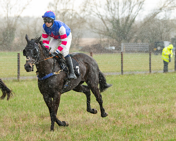Race 5 - Restricted  (29 of 141)