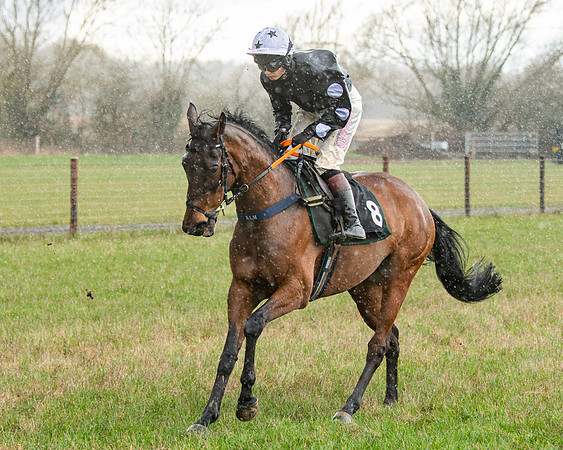 Race 5 - Restricted  (30 of 141)