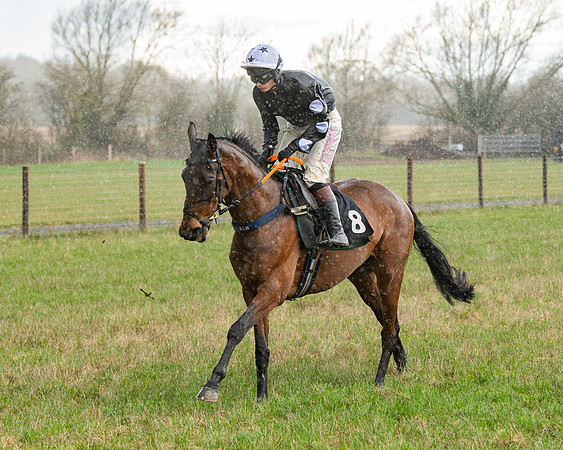 Race 5 - Restricted  (31 of 141)