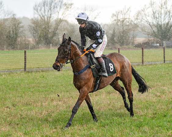 Race 5 - Restricted  (32 of 141)