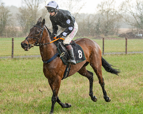 Race 5 - Restricted  (33 of 141)