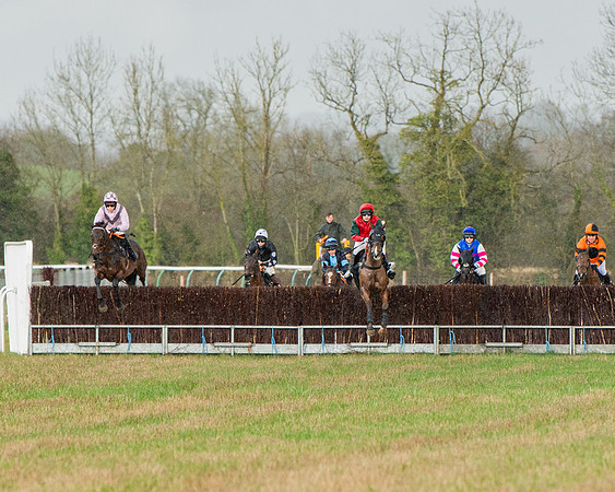 Race 5 - Restricted  (34 of 141)