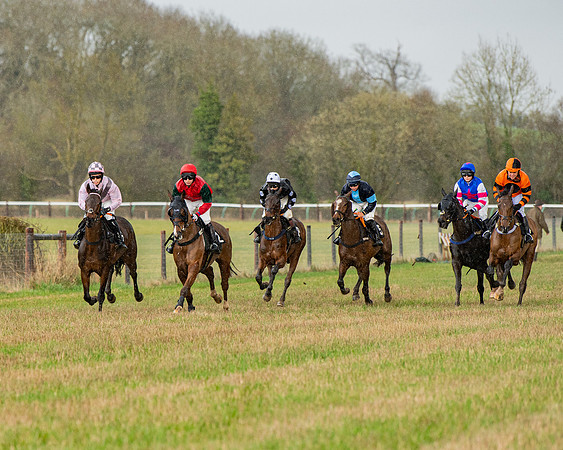 Race 5 - Restricted  (35 of 141)