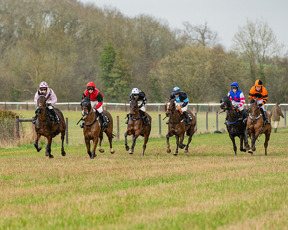 Race 5 - Restricted  (36 of 141)