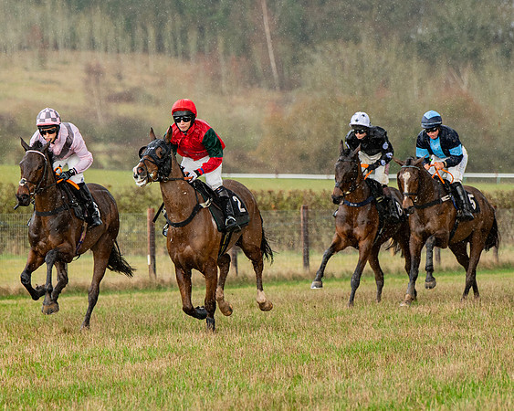 Race 5 - Restricted  (38 of 141)