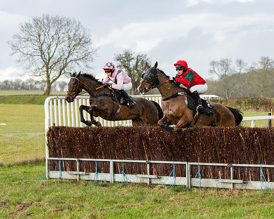 Race 5 - Restricted  (40 of 141)
