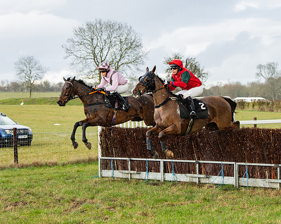 Race 5 - Restricted  (42 of 141)