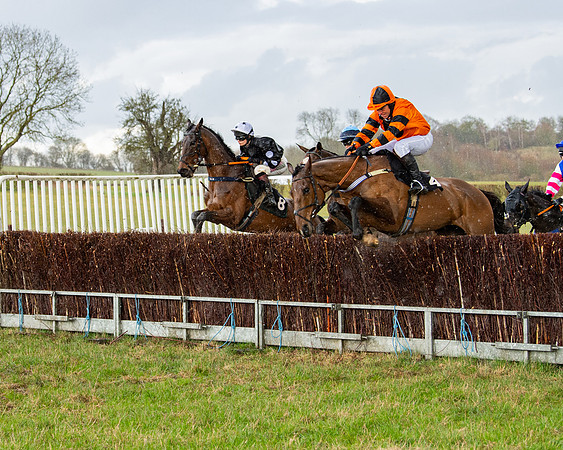 Race 5 - Restricted  (45 of 141)