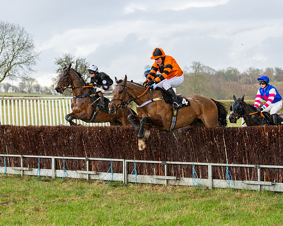 Race 5 - Restricted  (46 of 141)
