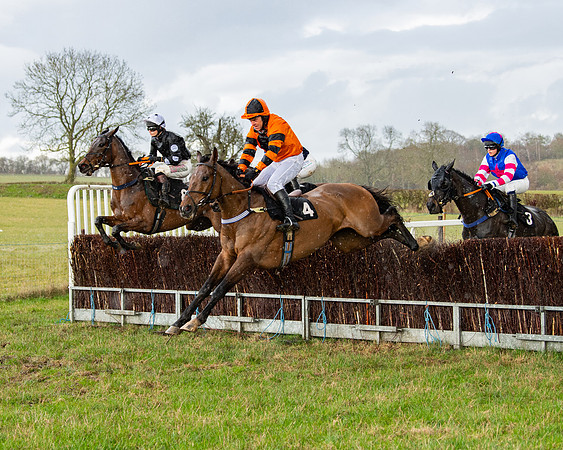 Race 5 - Restricted  (48 of 141)