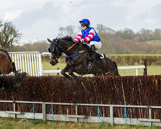 Race 5 - Restricted  (50 of 141)