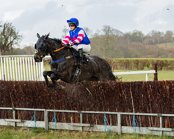 Race 5 - Restricted  (51 of 141)