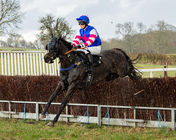 Race 5 - Restricted  (52 of 141)