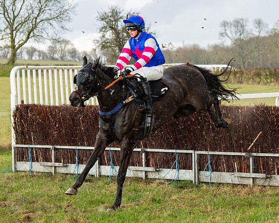 Race 5 - Restricted  (53 of 141)