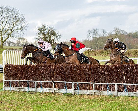 Race 5 - Restricted  (56 of 141)