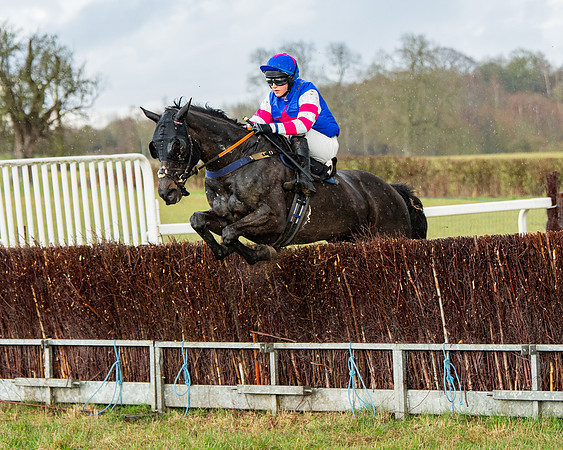 Race 5 - Restricted  (66 of 141)