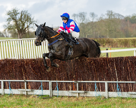 Race 5 - Restricted  (67 of 141)