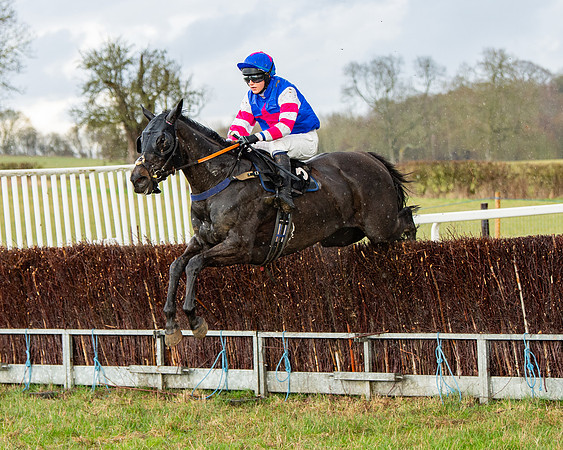 Race 5 - Restricted  (68 of 141)