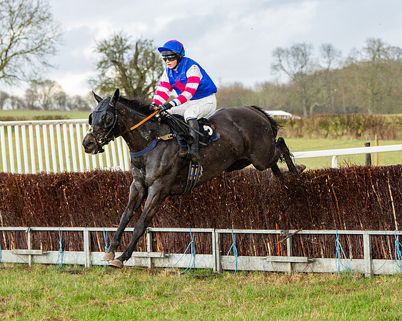 Race 5 - Restricted  (69 of 141)