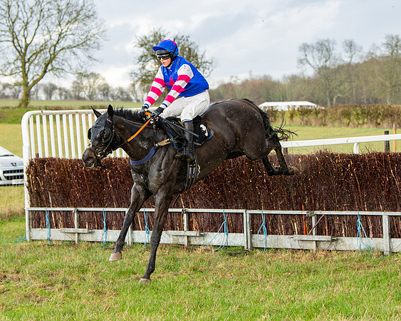 Race 5 - Restricted  (70 of 141)
