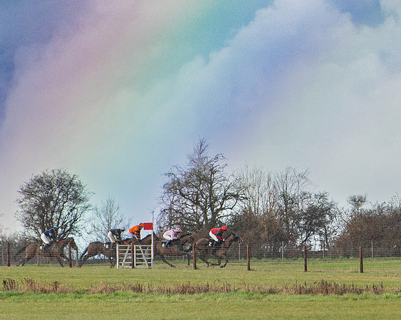 Race 5 - Restricted  (71 of 141)