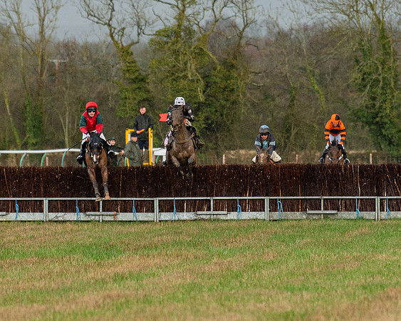 Race 5 - Restricted  (74 of 141)