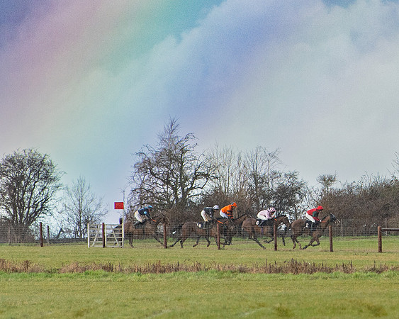 Race 5 - Restricted  (73 of 141)