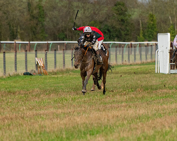 Race 5 - Restricted  (79 of 141)