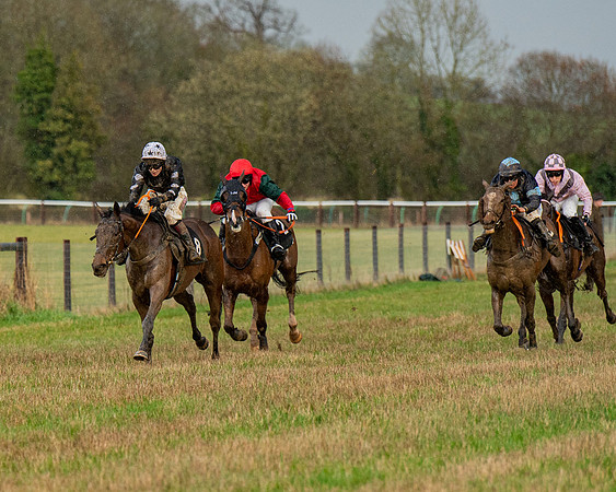 Race 5 - Restricted  (80 of 141)