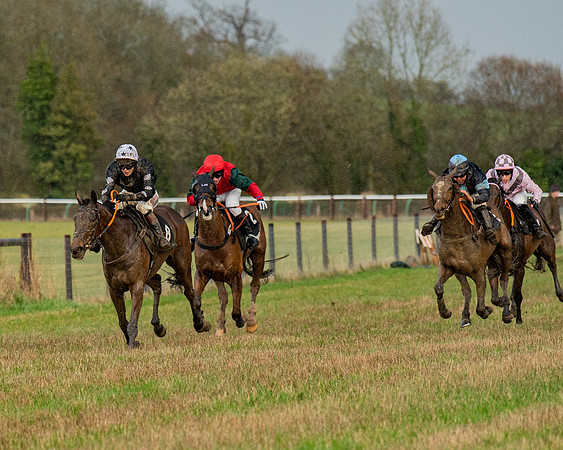 Race 5 - Restricted  (81 of 141)