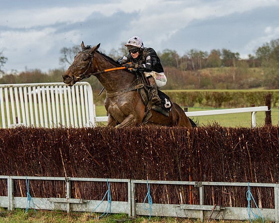 Race 5 - Restricted  (83 of 141)