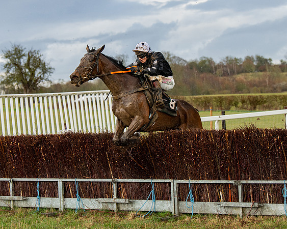 Race 5 - Restricted  (84 of 141)