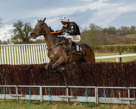 Race 5 - Restricted  (85 of 141)