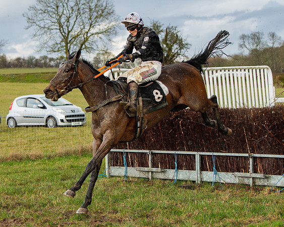 Race 5 - Restricted  (88 of 141)