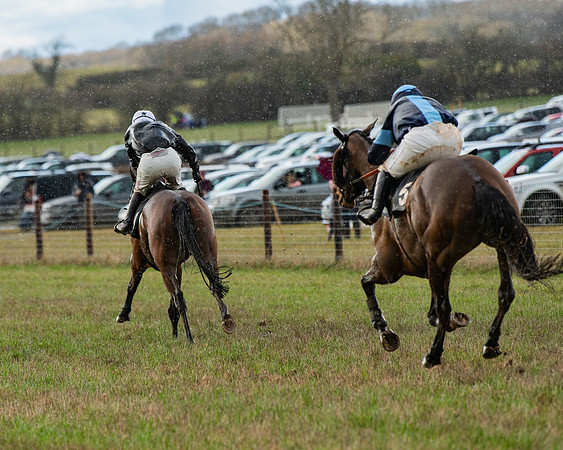 Race 5 - Restricted  (97 of 141)
