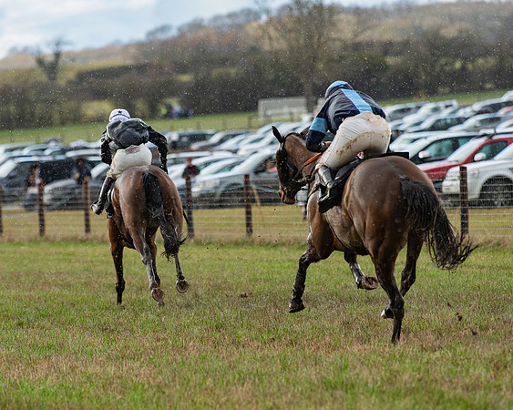 Race 5 - Restricted  (98 of 141)
